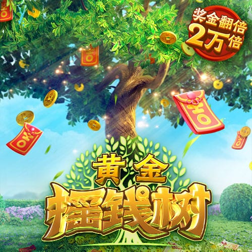 记者：里昂给塔利亚菲科提供加薪续约，他也可能以自由身回归西甲